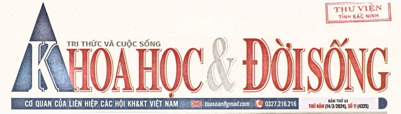 Vật chứng quý về kỹ nghệ đúc trống đồng của người Việt cổ