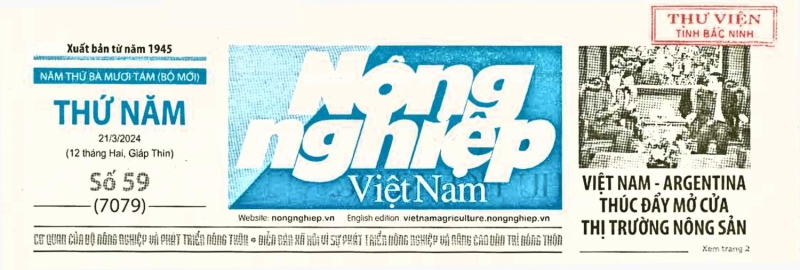 Bắc Ninh: Lúa năng suất, chất lượng cao chiếm 70%