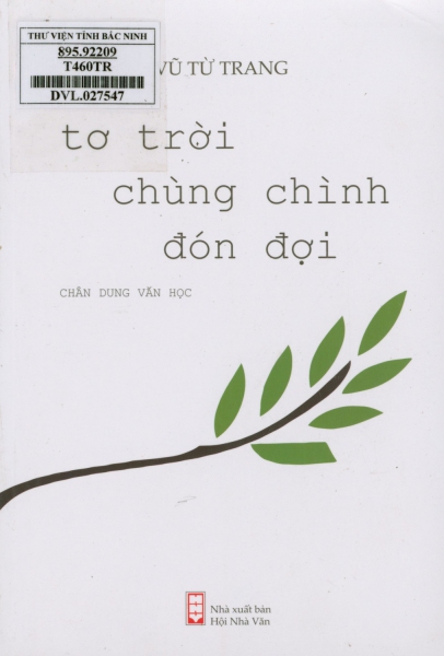 Tơ trời chùng chình đón đợi