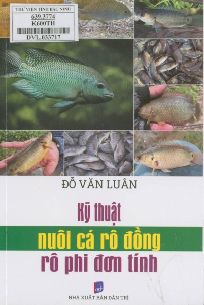 Kỹ thuật nuôi cá rô đồng, rô phi đơn tính