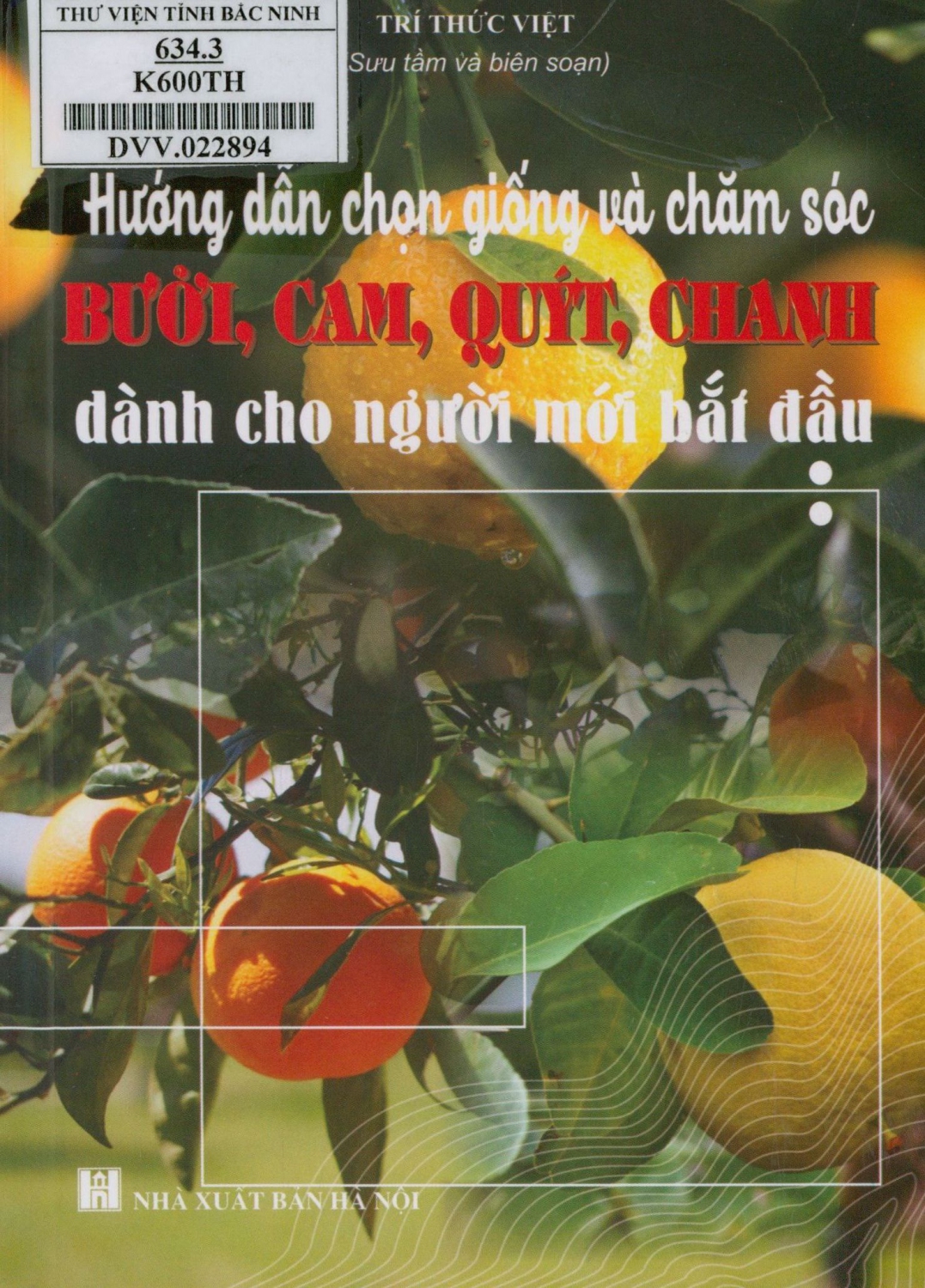 Kỹ thuật nông nghiệp: Hướng dẫn chọn giống và chăm sóc bưởi, cam, quýt, chanh dành cho người mới bắt đầu