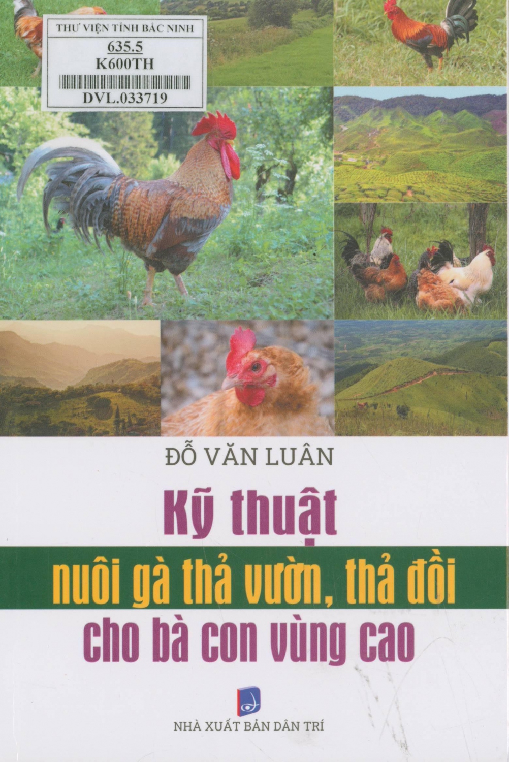 Kỹ thuật nuôi gà thả vườn, thả đồi cho bà con vùng cao